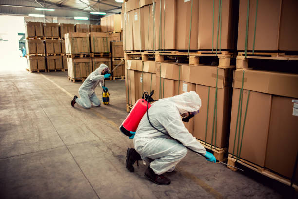 Best Pest Control Near Me  in Centreville, MD
