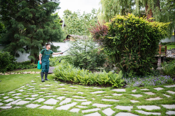 Best Exterminator Services  in Centreville, MD