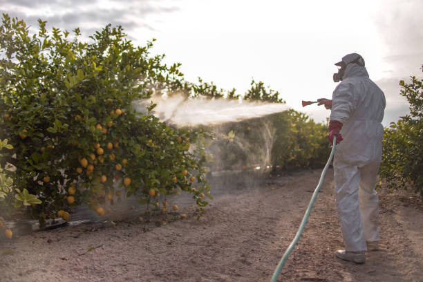 Reliable Centreville, MD Pest Control Solutions