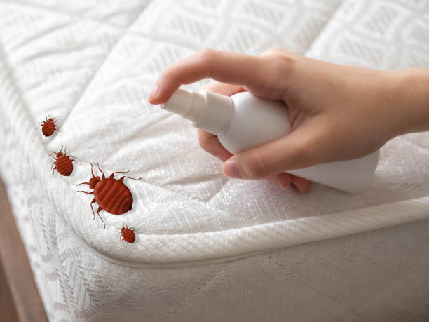 Best Bed Bug Extermination  in Centreville, MD